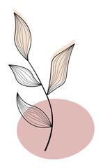 Twig with leaves in a line style with abstract spots in pastel colors. The element is isolated, on a white background. It is used as a decor or background.