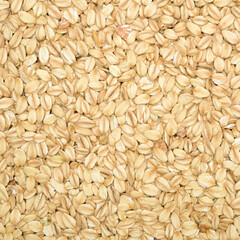 The texture of oatmeal.