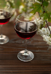 Wine Tasting Party in spring in the garden