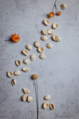 Fototapeta na wymiar hand made apulian orecchiette shaped pasta