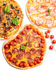 different various kind of pizzas