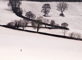 Lone Man Walking Through the Snow