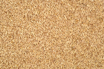 Raw oat grouts closeup texture