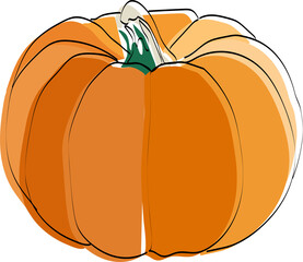 Silhouette of a vegetable. Pumpkin. Vector illustration.