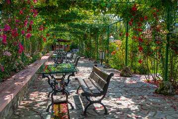 Fototapety  Benches and tables under a rose tunnel in Bulgaria