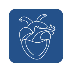 Human Heart Icon