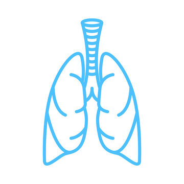 lungs icon_vector
