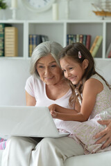 Portrait of happy grandmother and granddaughter using laptop