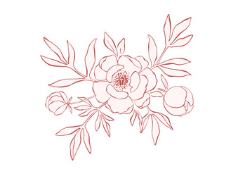 Hand drawn line art peony arrangement. Elegant floral composition for wedding design and romantic holiday. Line art pink peony bouquet. Botanical hand drawn design element isolated on white background