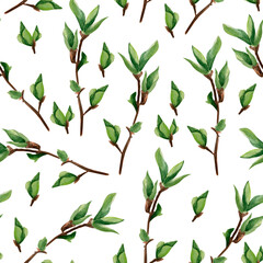 Young spring tree branches watercolor seamless pattern. Template for decorating designs and illustrations.