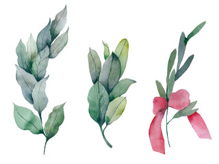 Set of watercolor wreaths and laurels. Hand painted branches,leaves,petal decor elements.For design template,invitation.