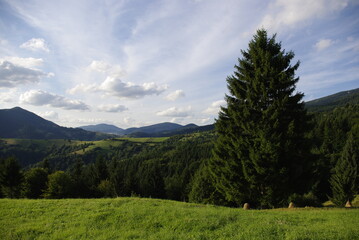 Fototapeta na wymiar unusually beautiful view of the Carpathian forests 