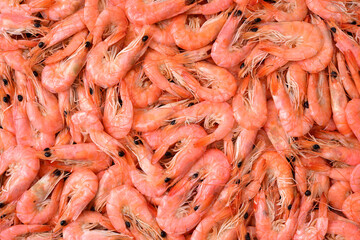 fresh shrimps on a market stall