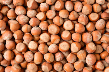 background of hazelnuts