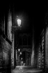 Fototapeta premium arquitectura, calle, noche, ciudad, viejo, europa, gótica, colonia, viajando, callejuela, religiones, poblado, urbana, historicas, blanco y negro, edificio, catedral, miedo, oscuridad, Barcelona