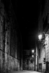 Fototapeta premium arquitectura, house of god, calle, noche, ciudad, viejo, europa, gótica, colonia, viajando, callejuela, religiones, poblado, urbana, historicas, blanco y negro, edificio, catedral, miedo, oscuridad