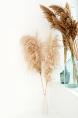 White beige minimal decorated bedroom in Scandinavian and Boho style. Pampas grass in bouquets, copy space for your text, trendy stylish interior design, neutral color, monochrome