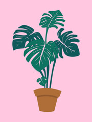 Fototapeta na wymiar Monstera in plant pot, vector illustration with grain effect on pastel pink background