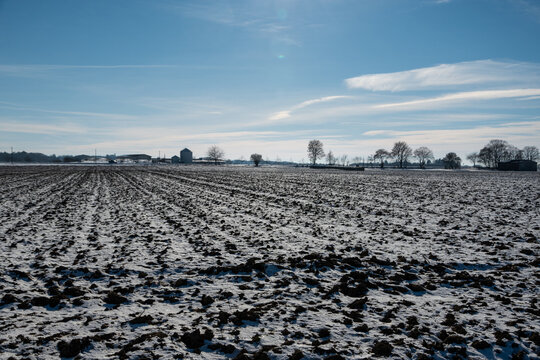 winter field