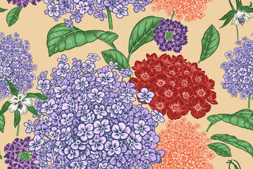 Vollfarbiges nahtloses Muster. Blumen Hortensie. Vektor. © marinavorona
