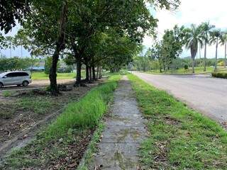 road in the park