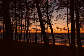 Beautiful sunset on the Baltic sea beach