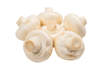 Champignon mushroom isolated on white background.