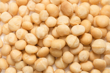 Macadamia nuts isolated on white background.