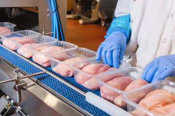 Factory for the production of food from meat.Production line with packaging .Conveyor Belt Food.Food products meat chicken in plastic packaging on the conveyor.