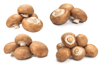 Tasty mushroom isolated on white background.