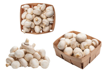 Champignon mushroom isolated on white background.