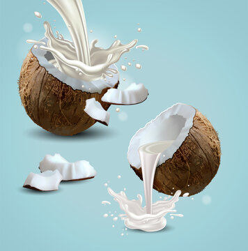 Coconut milk is poured from half a nut. Highly realistic illustration.
