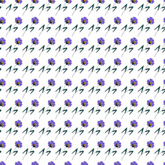 Fototapeta na wymiar Cornflower flowers pattern. Idea for decors, celebrations, ornaments, wallpapers, pictures. Isolated vector illustration with white background. 