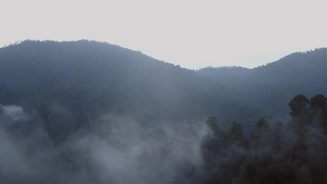 Bosque de Niebla en San Francisco Oxtotilpan, Temascaltepec, Estado de M&eacute;xico. 