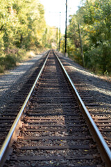 Obraz na płótnie Canvas Long straight train tracks through the woods with a blurry background