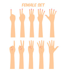 women's hands composing different gestures, showing various finger combinations, vector illustration