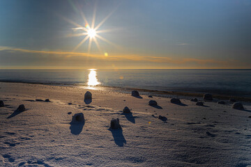 old mole under snow and ice