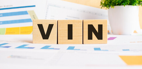 VIN word on wooden cubes. The background is a business graphs. Business and finance concept