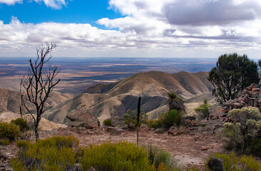 Fototapeta premium View from the Flinders Ranges, South Australia