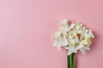 Bouquet of white-yellow daffodils isolated on pink background. Tender minimalistic spring flowers composition. Top view, copy space for text, flat lay, close up.
