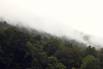 fog in the mountains