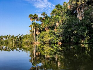 Amazonas