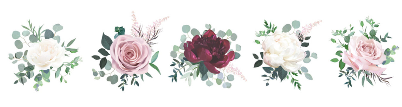 Greenery, burgundy red and white peony, blush rose flowers vector