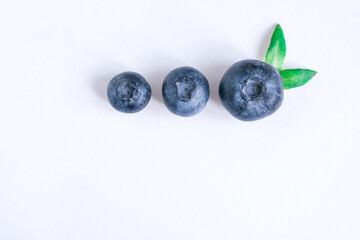 fresh blueberries with green leaves Isolated on white background
