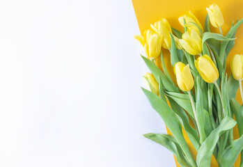 Yellow tulips flowers on yellow background.Mothers Day, Birthday, Valentines Day. Concept of holiday. Symbol of spring. Flat lay, top view, copy space