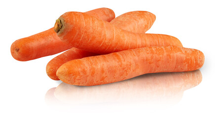 carrot shadows mirror reflection isolated on white background with​ clipping ​path​
