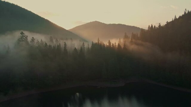 Aerial view of sunrise in the misty forest. Foggy golden sunset in mountains. Flying over green trees valley. Morning mist, country fields, sun rising above the horizon. Scenic nature landscape.