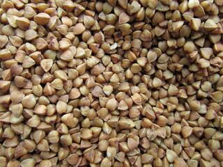 buckwheat background