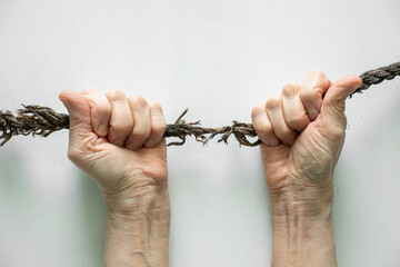 hands pull an old rope on a white background