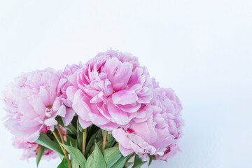 Bouquet of big pink peonies on white background, copyspace for text.  Layout for postcard, greeting concept. Woman's day, wedding, anniversary valentines day holidays.